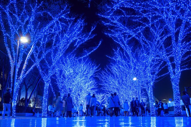 Experience the Magic of Christmas in Tokyo - What your guide adds to the evening