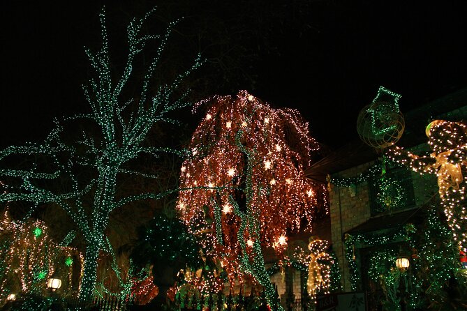 French Christmas Tour in Brooklyn - Who will enjoy this evening most