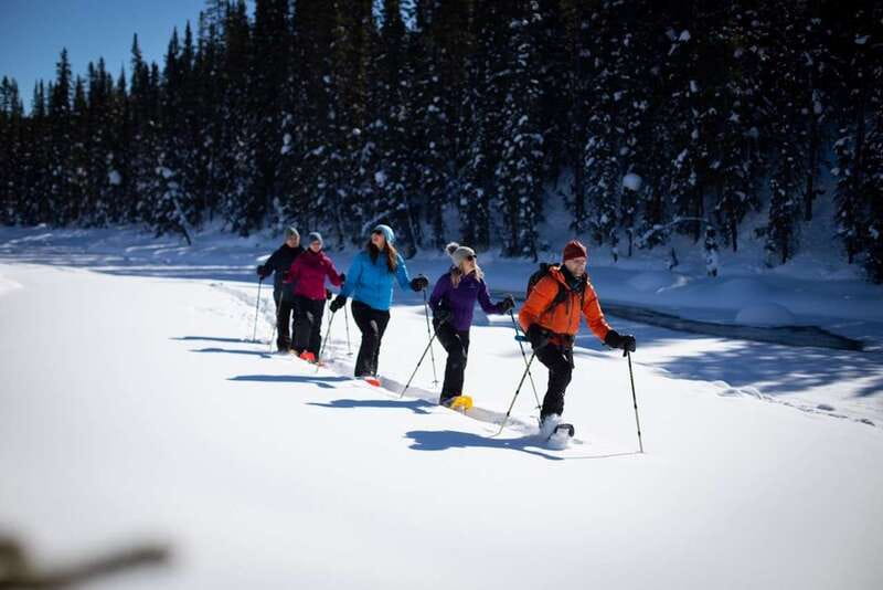From Banff: Winter Wonderland; Lake Louise & Johnston Canyon - Local stories and the value of a small group