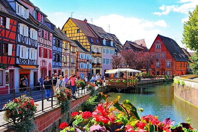 From Basel: Colmar Christmas Market & Wine Tasting Private Tour - Tasting Alsatian wines at an organic producer