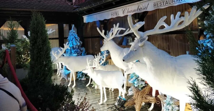 From Colmar: Christmas Markets Across 3 Borders - Eguisheim: the day’s most intimate setting