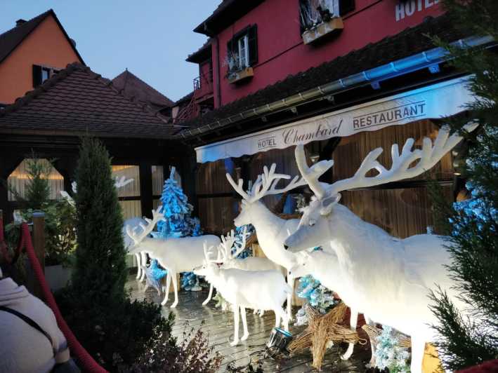 From Colmar: Christmas Markets Across 3 Borders - Basel: a Swiss market with a city feel