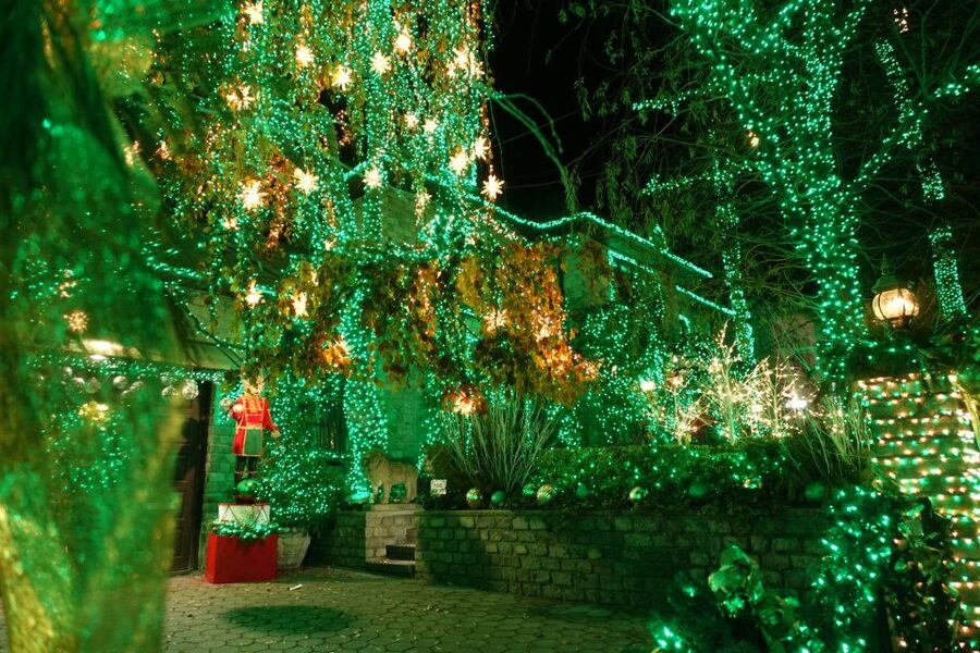 From Manhattan: 4-Hour Christmas Lights Luxury Bus Tour - Who should book this Christmas lights tour?