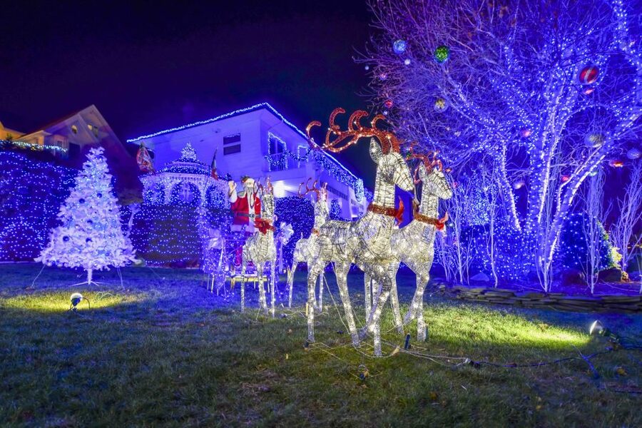 From Manhattan: 4-Hour Christmas Lights Luxury Bus Tour - The one-hour walk through Dyker Heights