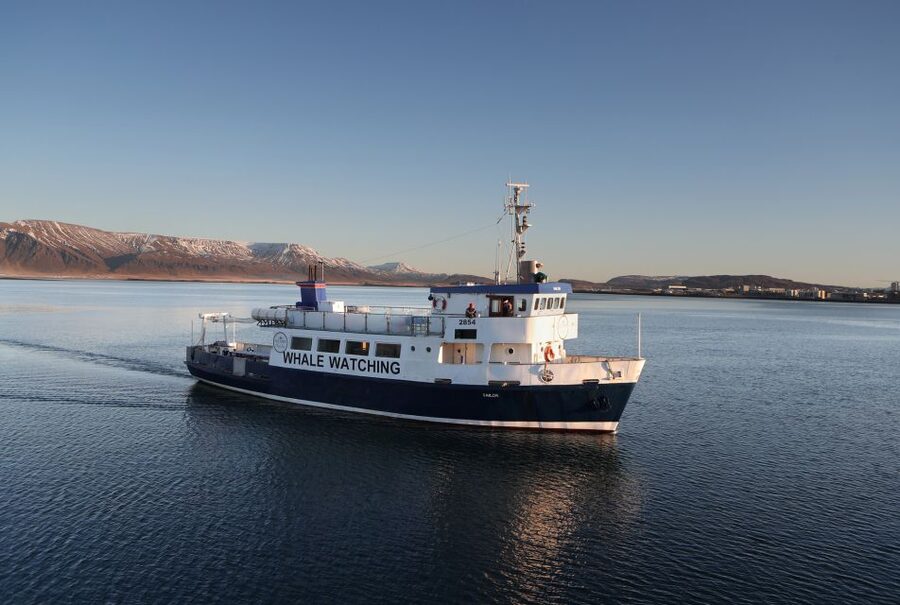From Reykjavik: New Years Fireworks by Boat - The coastline and fireworks over Faxaflói Bay