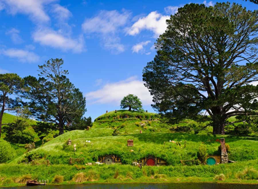 From Rotorua: Hobbiton Movie Set Tour with Festive Lunch - Why Hobbiton feels more real than a film prop