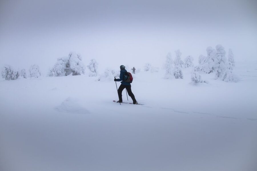 From Rovaniemi: Winter Wonderland Hike with a Hot Drink - Leaving Rovaniemi for a Frozen Forest