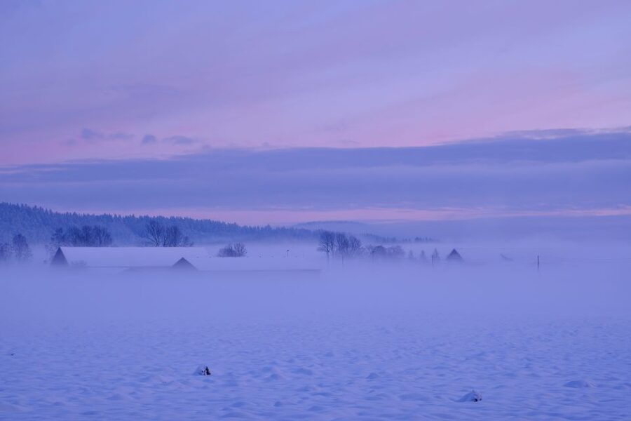 From Rovaniemi: Winter Wonderland Hike with a Hot Drink - A Warm Break at the Hut