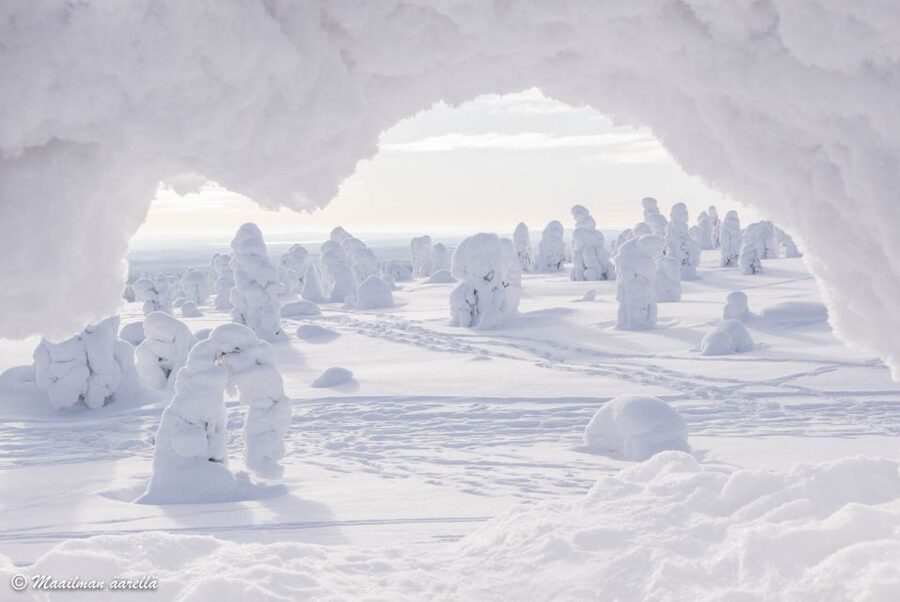 From Rovaniemi: Winter Wonderland Hike with a Hot Drink - Who Will Enjoy This Most?