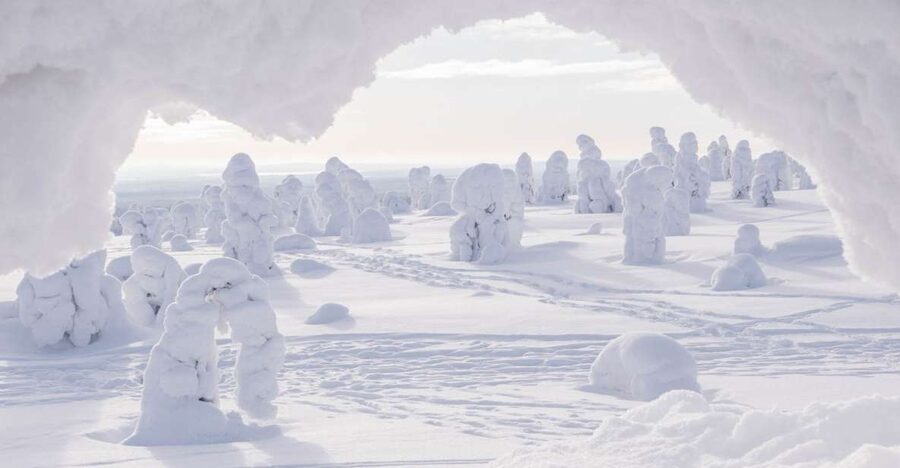 From Rovaniemi: Winter Wonderland Hike with a Hot Drink - The Summit View Comes With Wind
