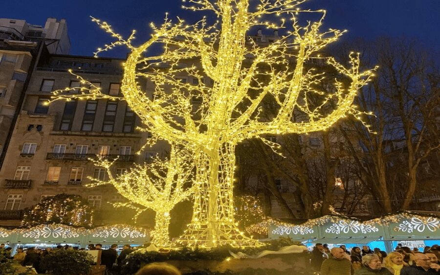From Santiago: Christmas Lights of Vigo And Pontevedra - Should you book the Vigo Christmas lights tour?