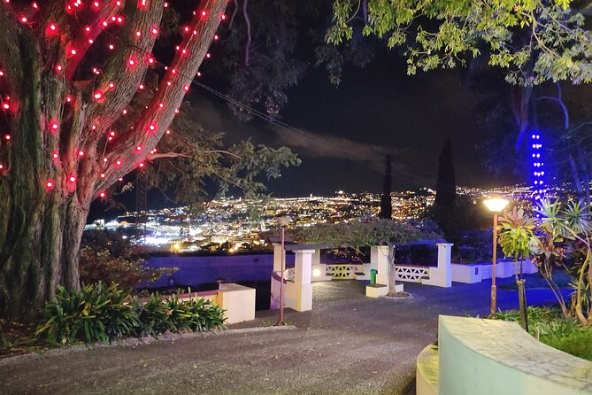 Funchal: Christmas Lights Sightseeing Night Tour - Guides who add more than directions