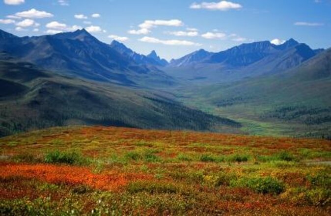 Guided Winter Wonderland Tour to Canada - Key things to know before you go