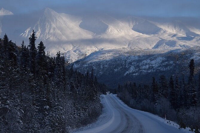 Guided Winter Wonderland Tour to Canada - From Skagway to the White Pass in one short afternoon