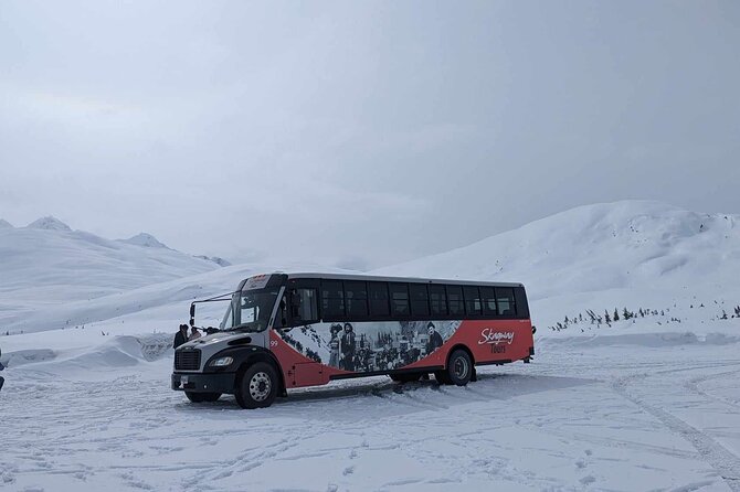 Guided Winter Wonderland Tour to Canada - The Welcome to Alaska sign at the White Pass Summit