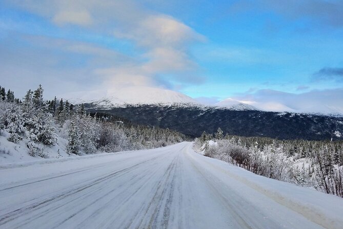 Guided Winter Wonderland Tour to Canada - Starting at the cruise docks, not the town office