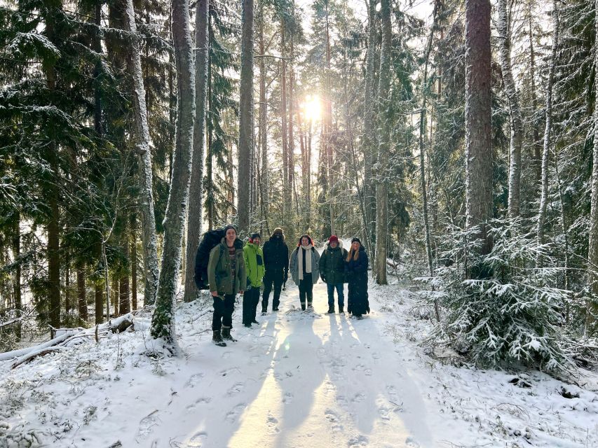 Helsinki: Winter Wonderland Liesjärvi National Park Hike - Should you book the Liesjärvi winter hike?