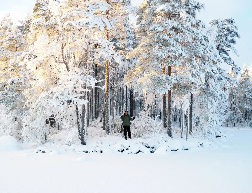 Helsinki: Winter Wonderland Liesjärvi National Park Hike - Is $182 a fair price?