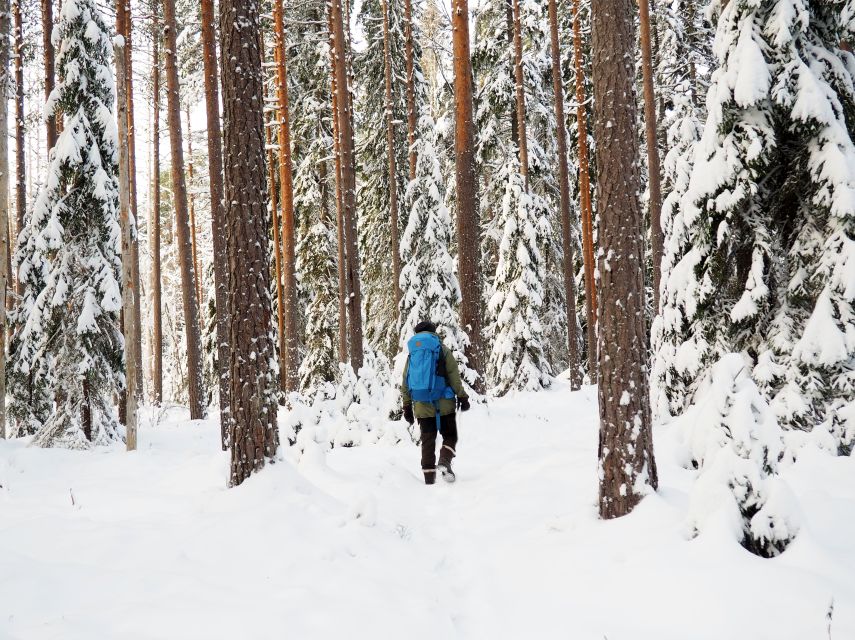 Helsinki: Winter Wonderland Liesjärvi National Park Hike - Who should book this experience?