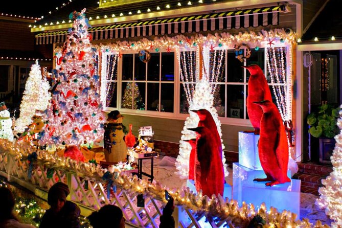Holiday Lights Cruise Throughout Luxurious Newport Beach Harbor - Price, group size, and what your ticket covers