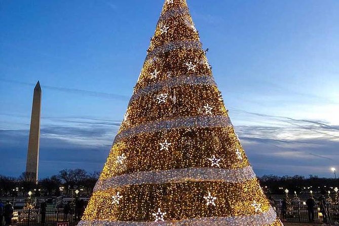 Holiday Lights Tour of Washington DC and Old Town Alexandria - CityCenterDC and a polished urban display