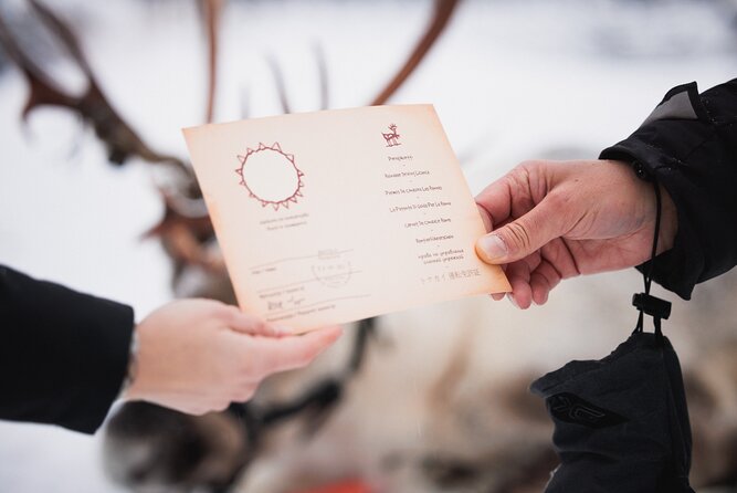 Husky and Reindeer Experience - Santa Claus Village: free time, not a Santa appointment