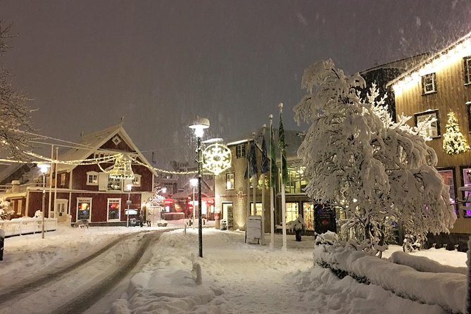 Iceland's Christmas Myths and Traditions - Reykjavík walking tour - Parliament House and the final stop