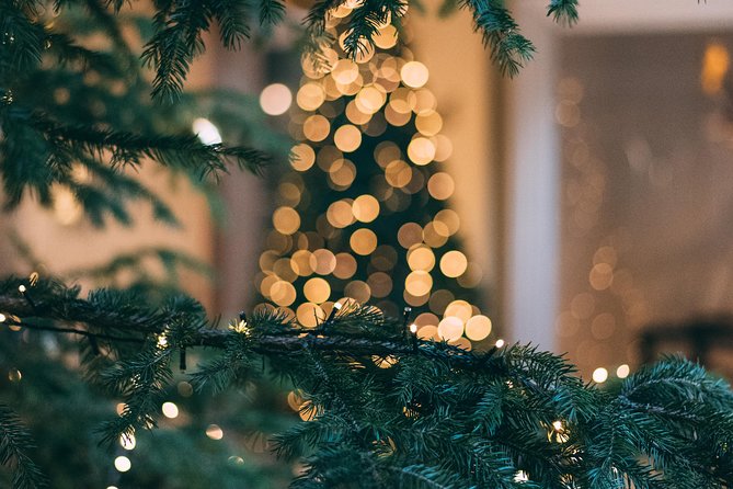 Iceland's Christmas Myths and Traditions - Reykjavík walking tour - Group size, access, and practical comfort