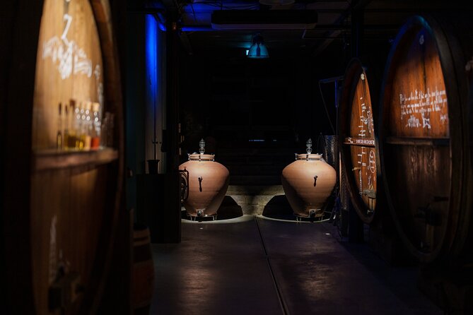 Immersive Christmas cellar visit and Alsace wine tasting - Who should book this wine experience?