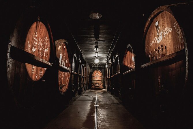 Immersive Christmas cellar visit and Alsace wine tasting - Starting with Alsace wine and a simple introduction
