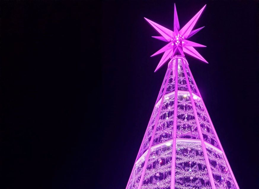 Innsbruck: Christmas Tour with a licensed guide - Should you book the Innsbruck Christmas Tour?