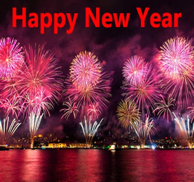 Istanbul: New Year's Eve Bosphorus Dinner Cruise Party 2027 - Dinner, drinks, and the practical value of the open bar