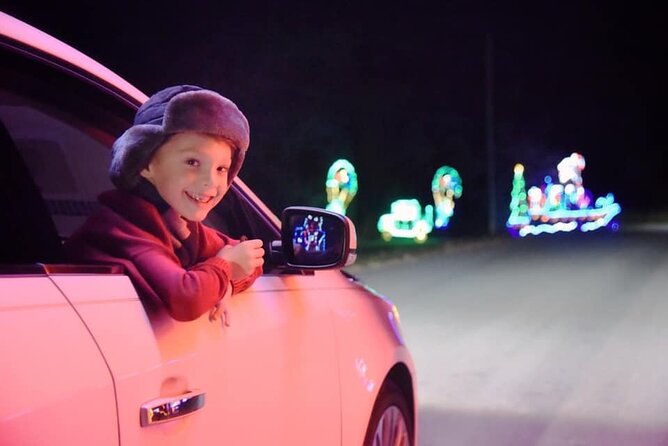 LIghts of Joy Christmas Light Drive-Thru - What the Drive Feels Like After Dark