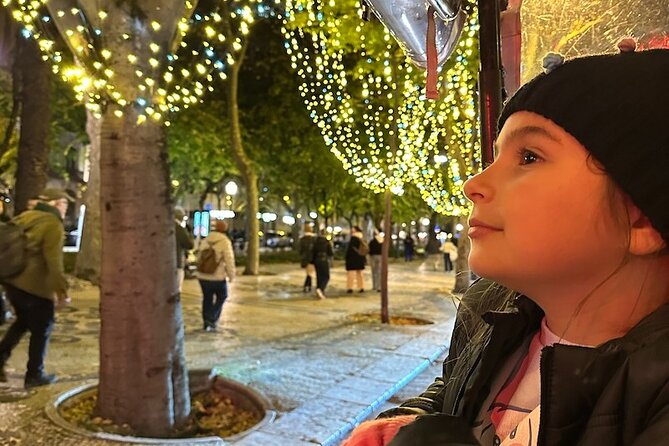 Lisbon Private Tour by Tuk Tuk (Christmas Lights) - Rossio or Praça da Figueira for a 20-minute break