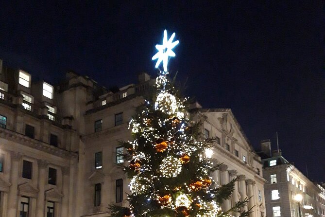 London Bespoke Black Cab Christmas Lights & Sights Private Tour - Harrods, with a five-minute photo stop