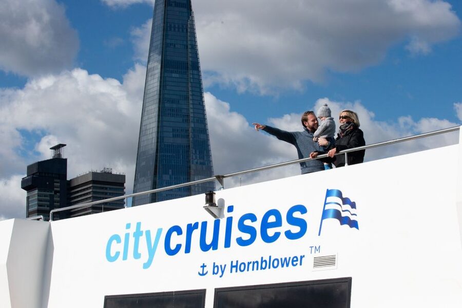 London: Christmas Day Sightseeing Cruise - Key points to know before you book