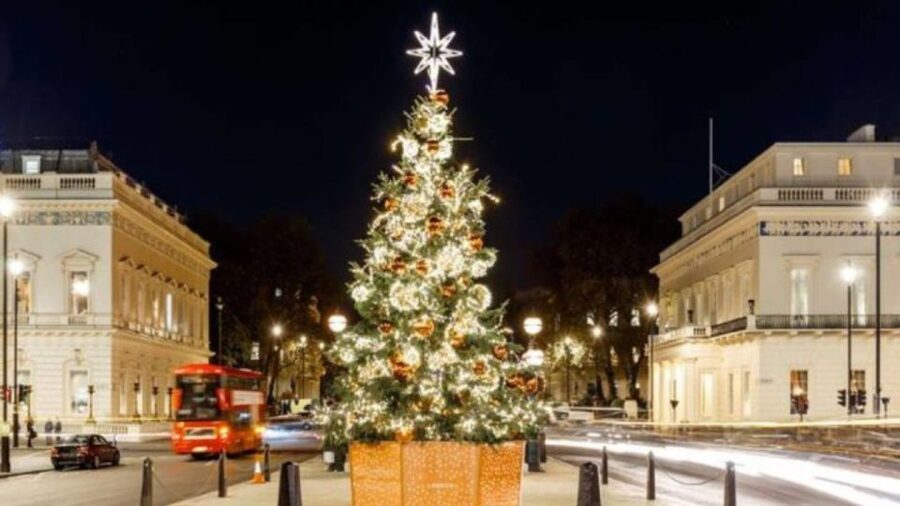 London: Christmas Lights Tour, Mince Pies, & Festive Drinks - Key points to know before booking