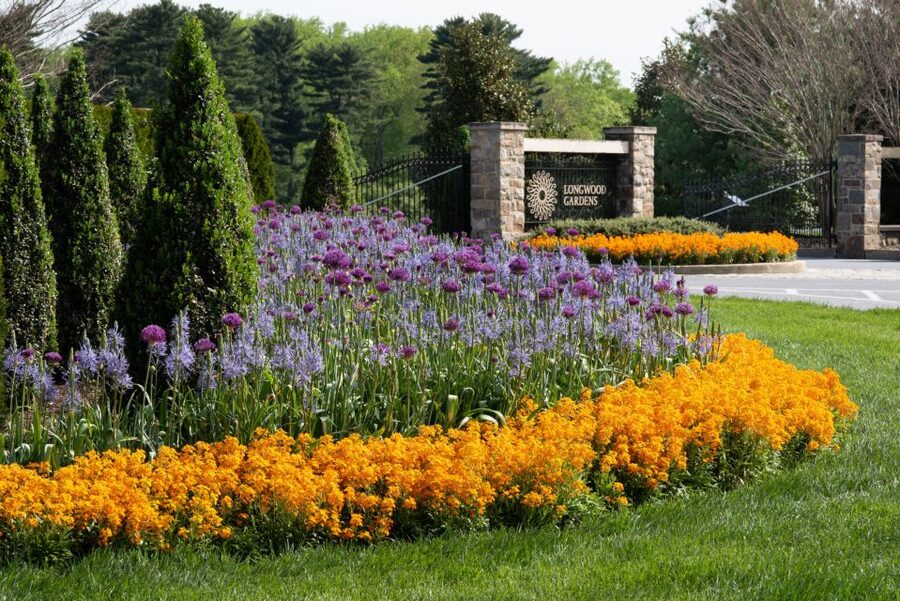 Longwood Gardens Holiday Lights Tour from Philadelphia - Practical details that can affect your evening