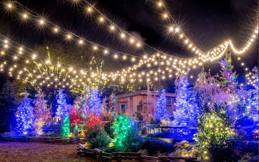 Longwood Gardens Holiday Lights Tour from Philadelphia - Why Longwood’s holiday lights are worth the trip