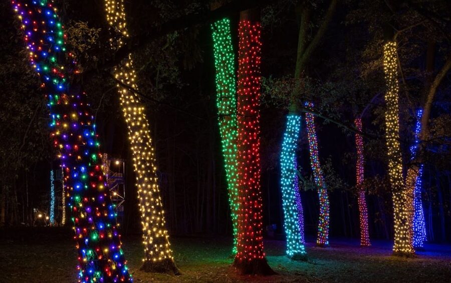 Longwood Gardens Holiday Lights Tour from Philadelphia - The ride through the Brandywine Valley