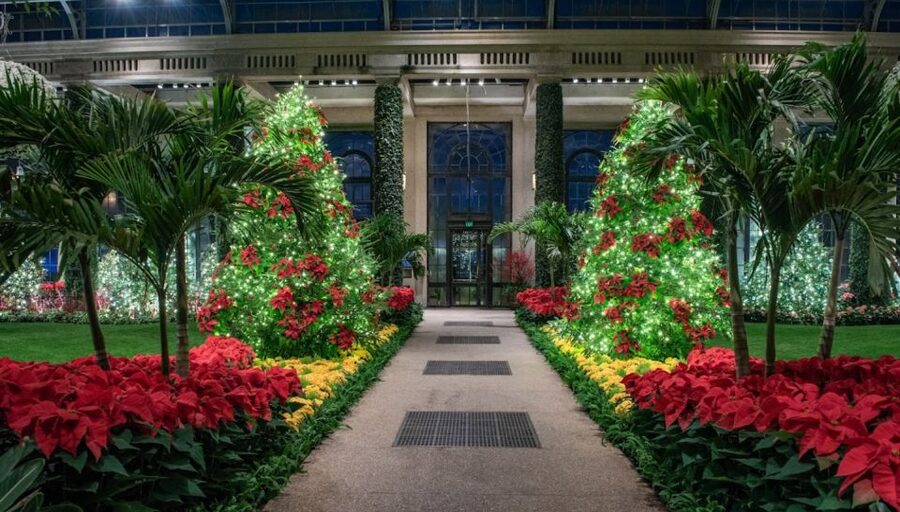 Longwood Gardens Holiday Lights Tour from Philadelphia - How the $149 price earns its keep