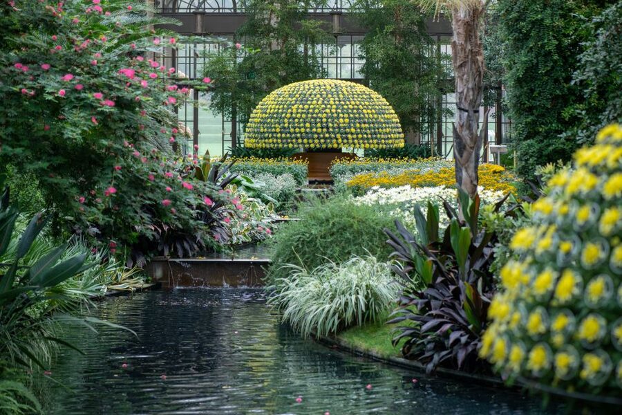 Longwood Gardens Holiday Lights Tour from Philadelphia - Guides, group size, and the level of help