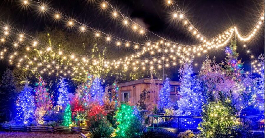 Longwood Gardens Holiday Lights Tour from Philadelphia - Leaving Philadelphia from 1200 Arch Street