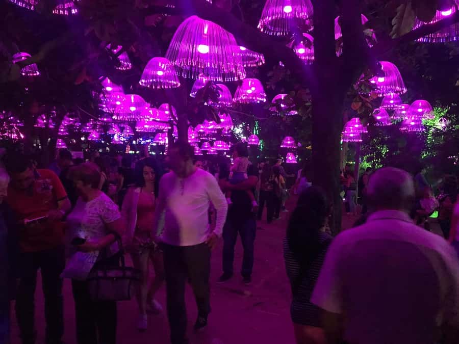 Medellin Christmas Lights Tour - Key points at a glance