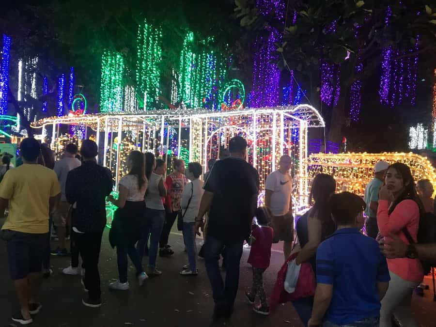 Medellin Christmas Lights Tour - Why Medellin’s Christmas lights are worth seeing