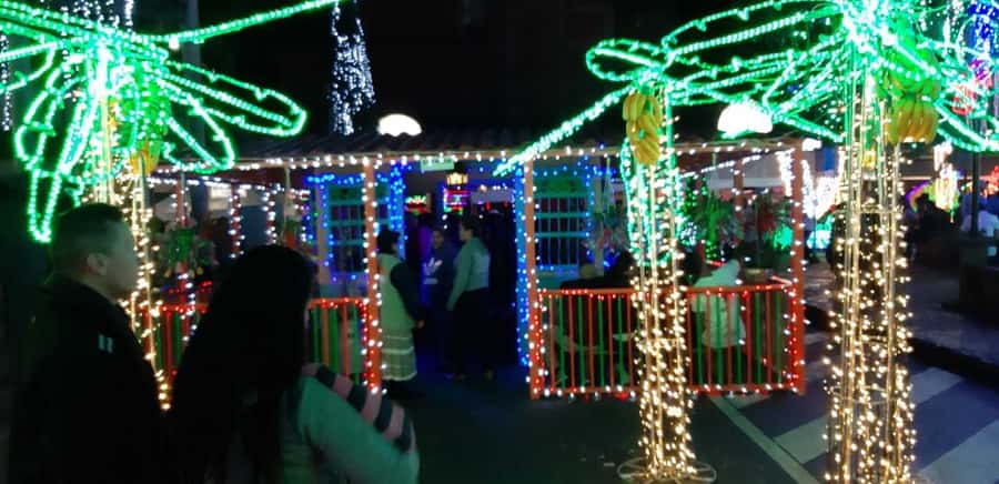 Medellin Christmas Lights Tour - Watching the shows with a bilingual guide