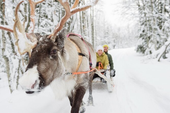 Meet Santa Claus & Santa's Reindeer Ride & Greet Huskies - Pickup rules matter more than the booking screen