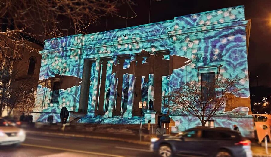 Montreal: Christmas Lights Private Walking Tour - Guide languages and the role of Gustavo