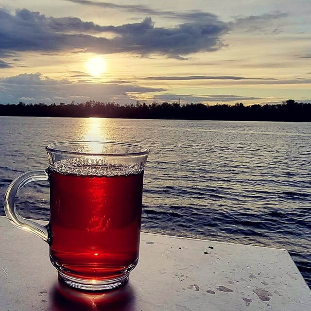 Mulled wine ride in the Leipzig New Zealand - A slow circuit of Lake Cospuden