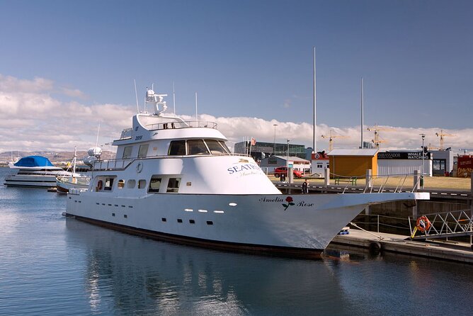 New Year's Eve Reykjavík Cruise - The outdoor viewing problem you should take seriously